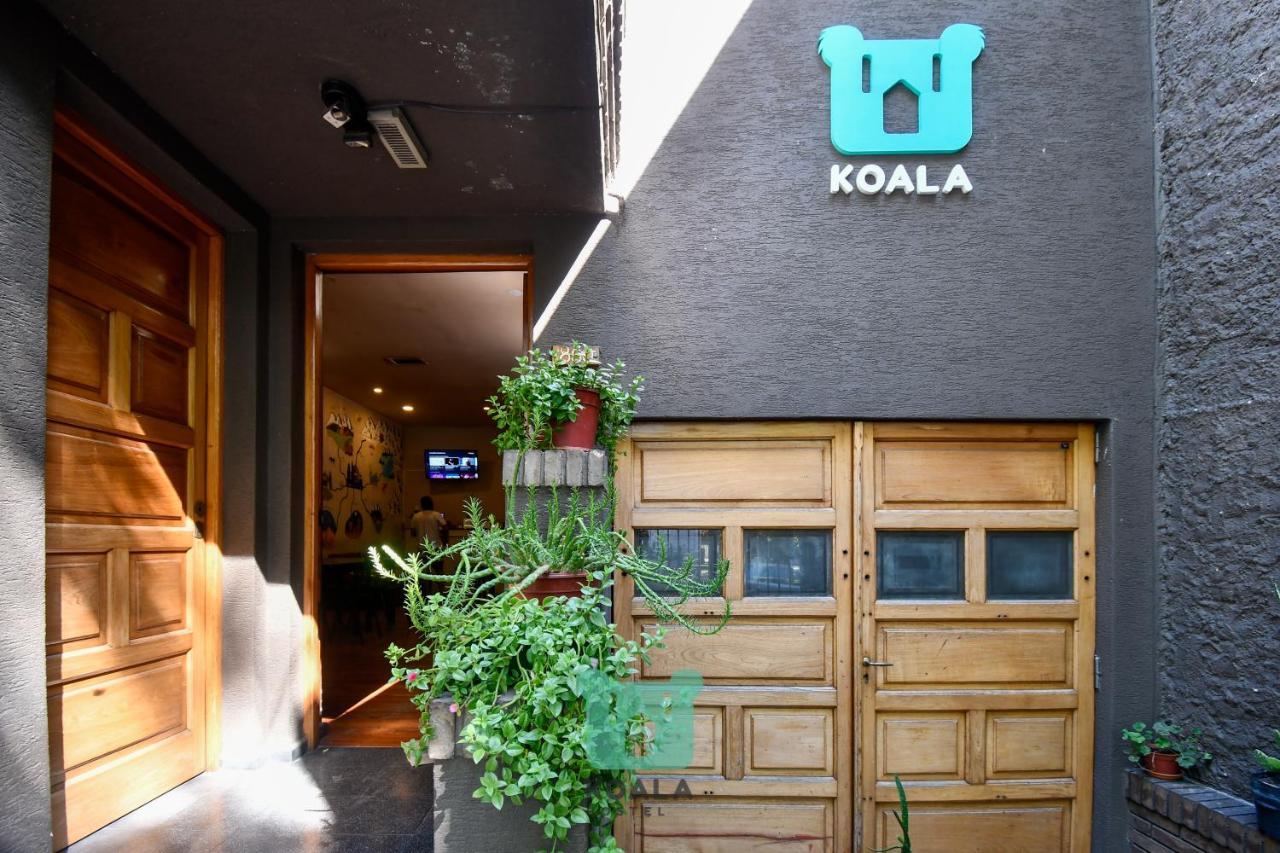 Koala